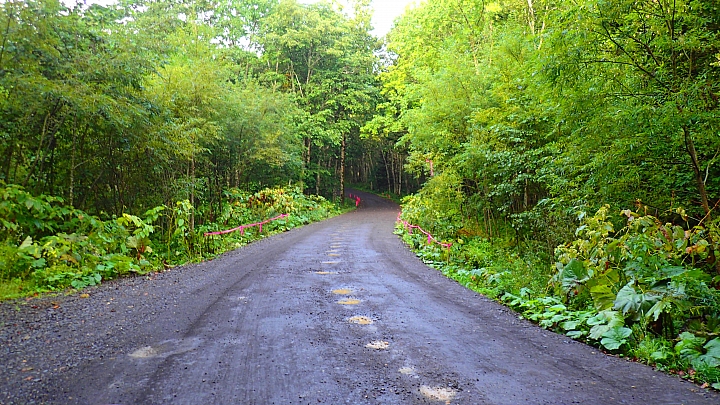 悲情 北海道之旅 完 全日本壓馬路（株）