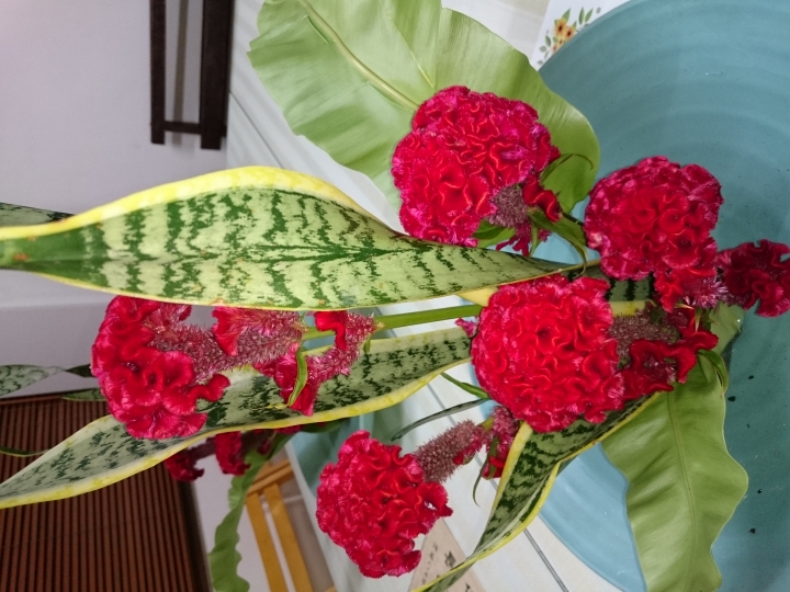 體驗會得獎Z3開箱 實拍PK蝴蝶2