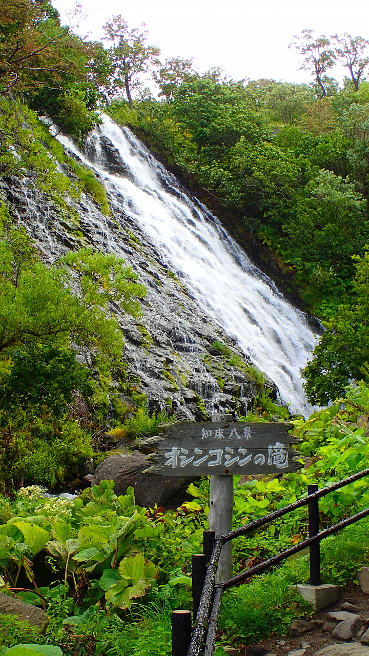 悲情 北海道之旅 完 全日本壓馬路（株）