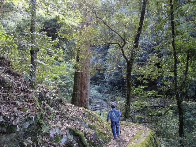 親子旅遊-大雪山森林遊樂區
