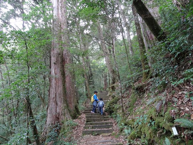 親子旅遊-大雪山森林遊樂區