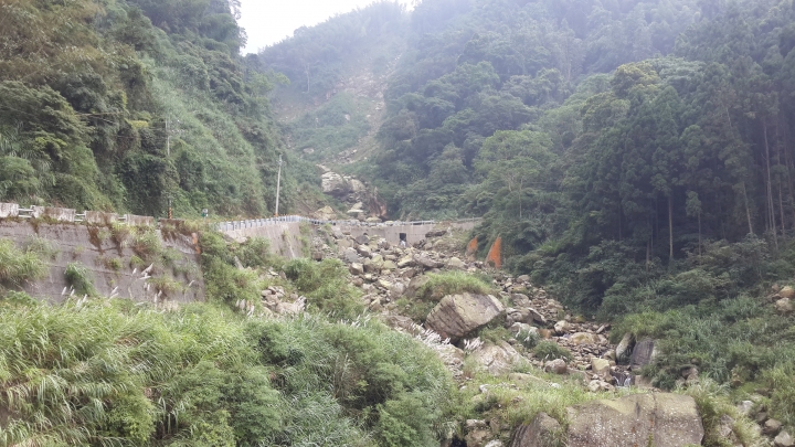 粉嶺族～上山閱讀後到八卦茶園一騎來八卦