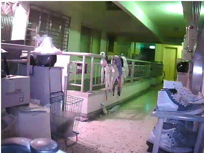 [開箱] SecuFirst WP-H01S無線網路攝影機_ 遠端監控 監視器(IP camera)