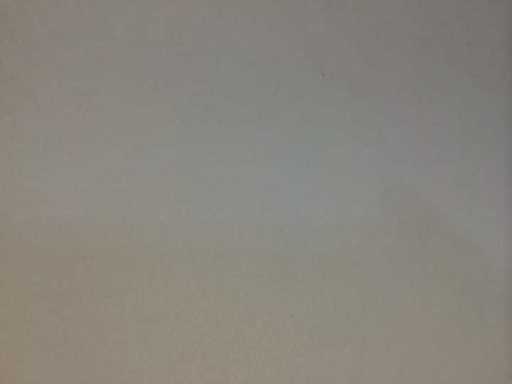 iPhone 6 相機偏藍綠