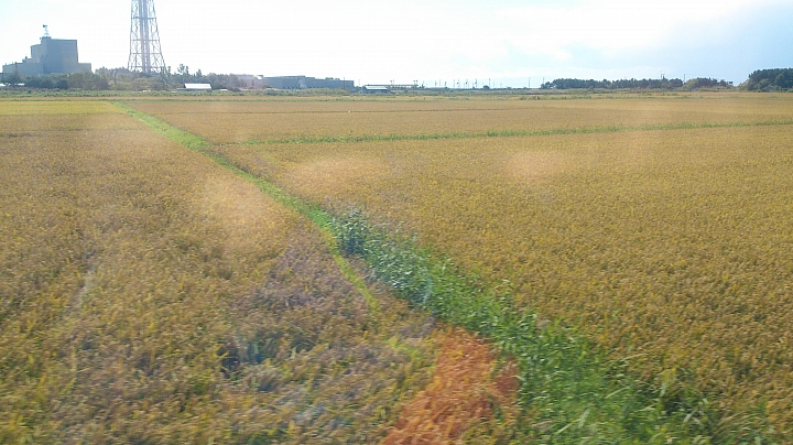 20140913 北海道--------道東九日單車遊     Day 8 及Day 9 札幌、函館 輕鬆漫步自由行