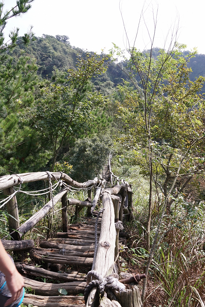 台中後花園-大坑散心[NISSAN SENTRA180 X Energy Saver+ 5000KM輪胎心得分享]