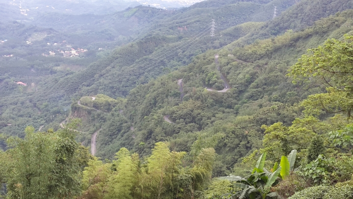 粉嶺族～上山閱讀後到八卦茶園一騎來八卦