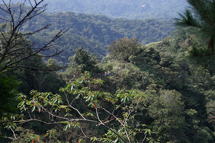 台中後花園-大坑散心[NISSAN SENTRA180 X Energy Saver+ 5000KM輪胎心得分享]