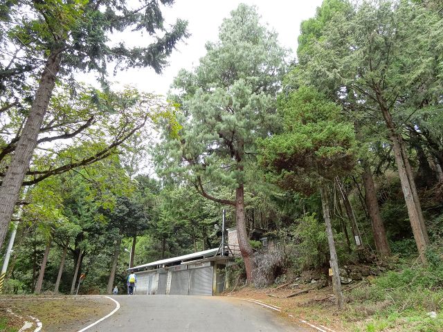 親子旅遊-大雪山森林遊樂區