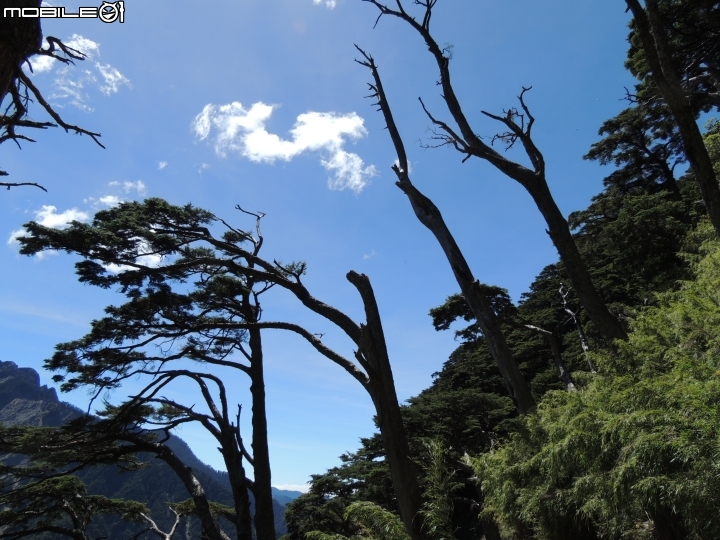 2014-09-16~18巍巍玉山三日行