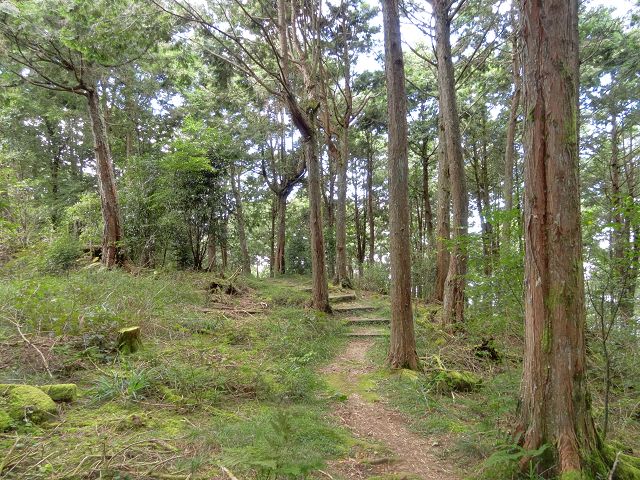 親子旅遊-大雪山森林遊樂區