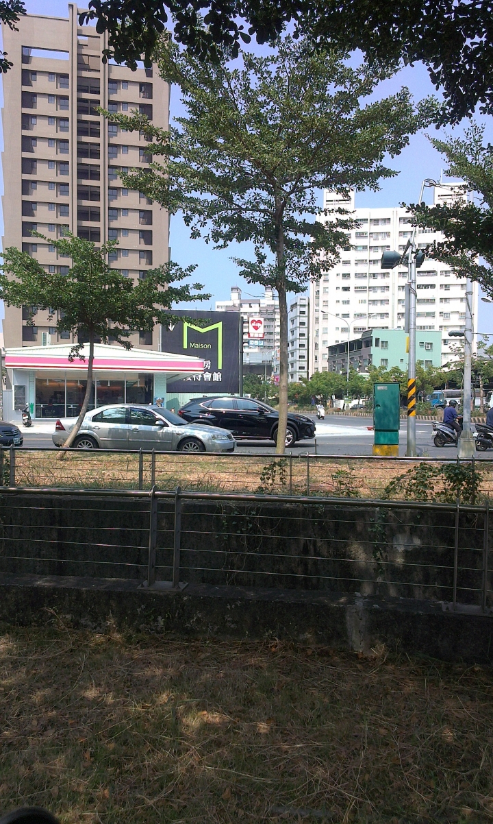 高雄88快速道路 頂新特區