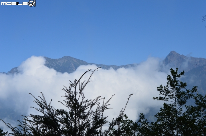 2014-10-07-08塔塔加二萬坪之行