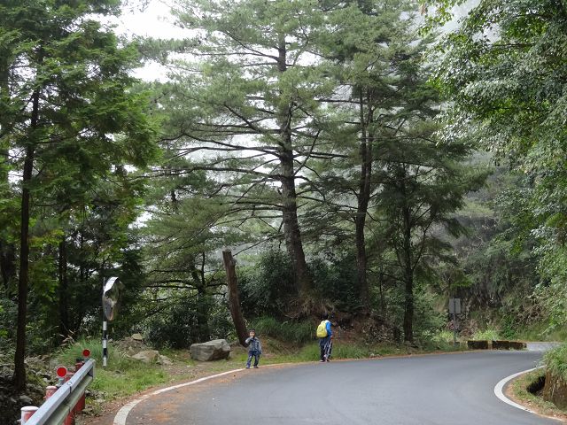 親子旅遊-大雪山森林遊樂區