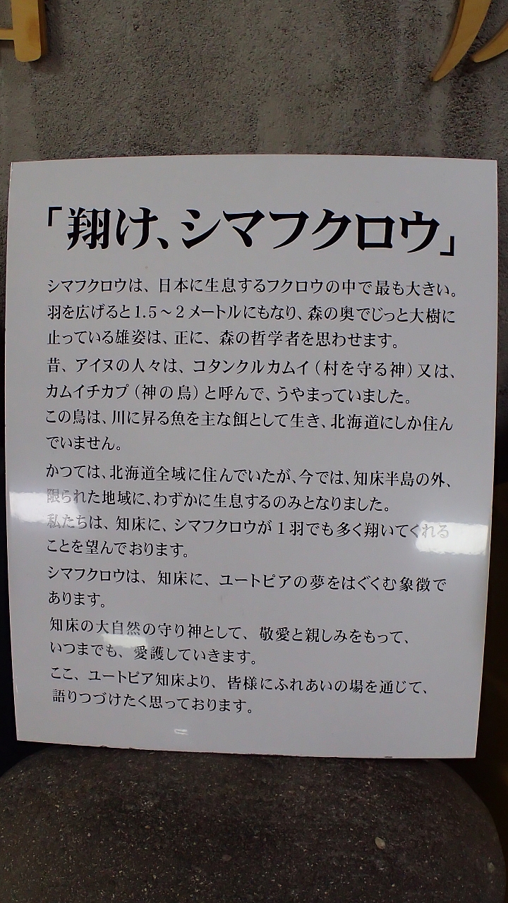 悲情 北海道之旅 完 全日本壓馬路（株）