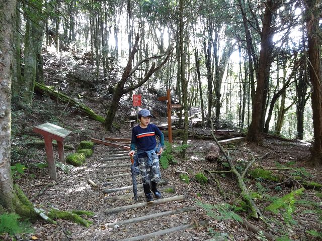 親子旅遊-大雪山森林遊樂區