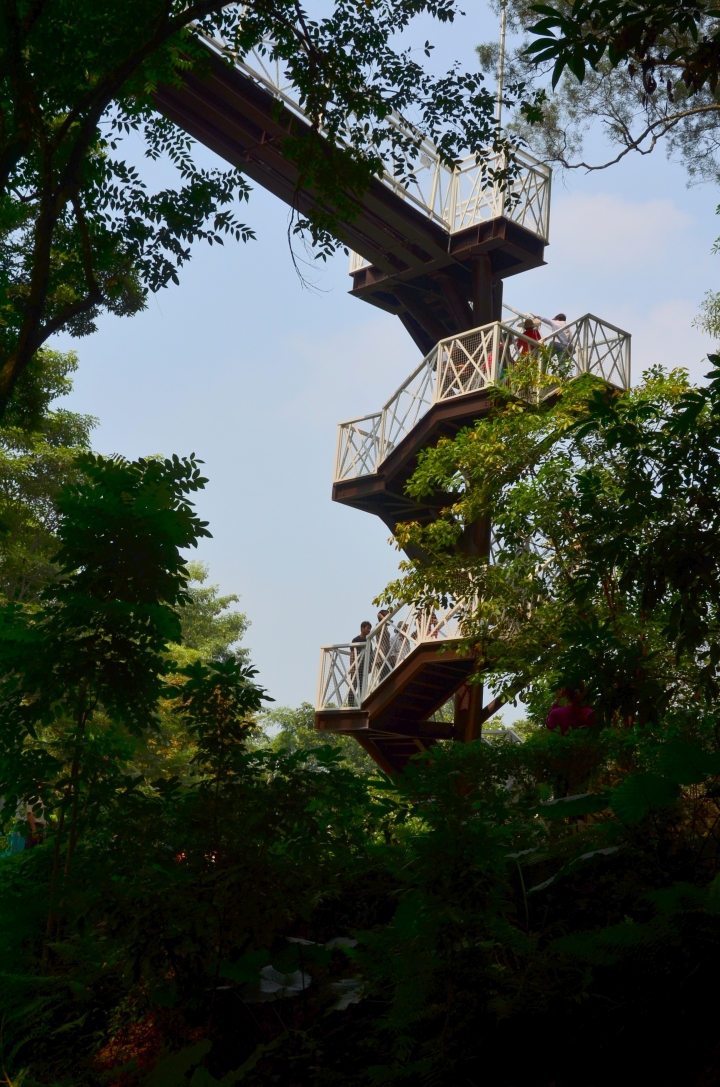 FORD Focus體驗(好友默契出遊去)