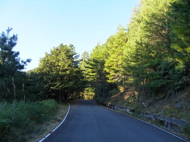 親子旅遊-大雪山森林遊樂區