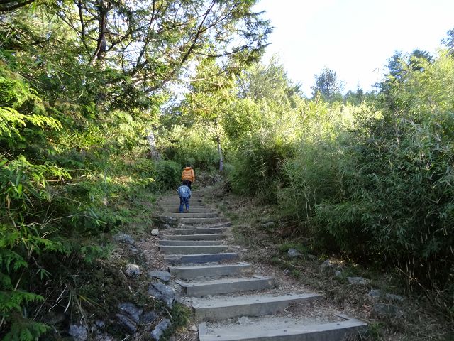 親子旅遊-大雪山森林遊樂區