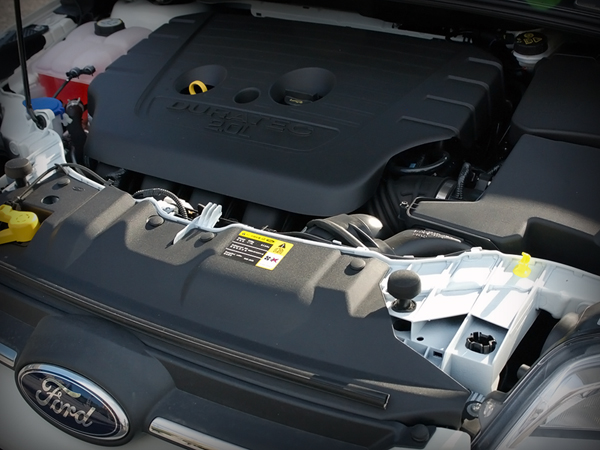 FORD FOCUS 好友默契出遊去 IN 高雄著名地標
