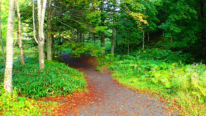 悲情 北海道之旅 完 全日本壓馬路（株）
