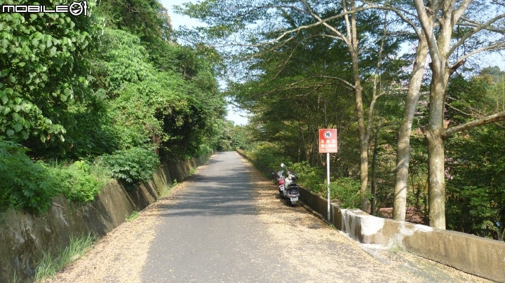 七速小折環線半日遊~~體驗彰雲投山水之美!!