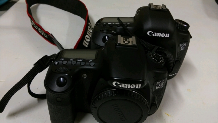 我終於達成進入全片幅心願