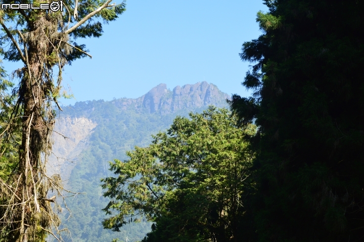 2014-10-07-08塔塔加二萬坪之行