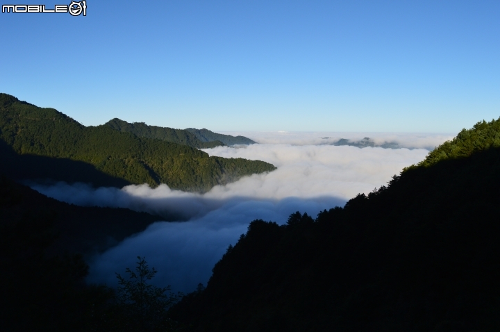 2014-10-07-08塔塔加二萬坪之行