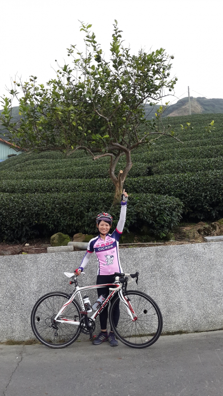 粉嶺族～上山閱讀後到八卦茶園一騎來八卦