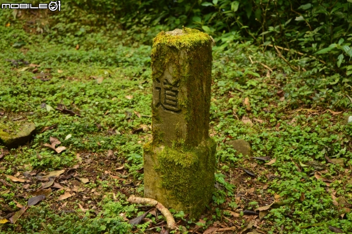 2014-10-07-08塔塔加二萬坪之行