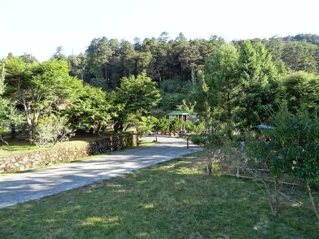 親子旅遊-大雪山森林遊樂區