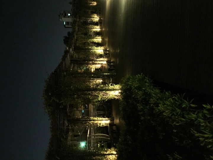 I phone 6 plus 夜拍小分享 會持續更新