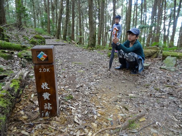 親子旅遊-大雪山森林遊樂區