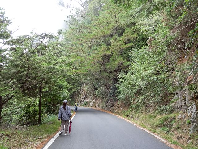 親子旅遊-大雪山森林遊樂區
