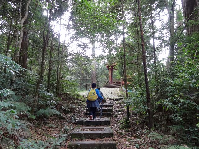 親子旅遊-大雪山森林遊樂區