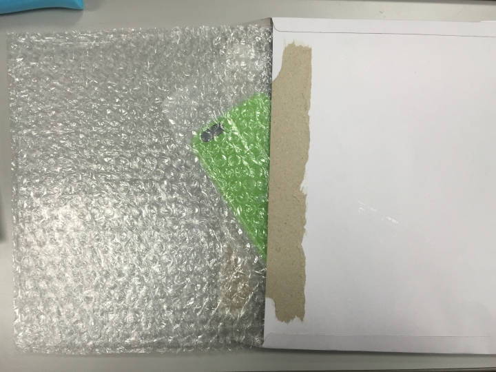 APPLE官網IPHONE6 Plus 5.5" 矽膠保護殼(綠) 【開箱】