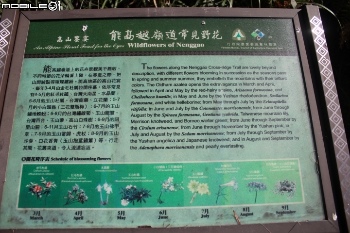 2014.10.04-奇萊南峰.南華山.光被八表-天氣優