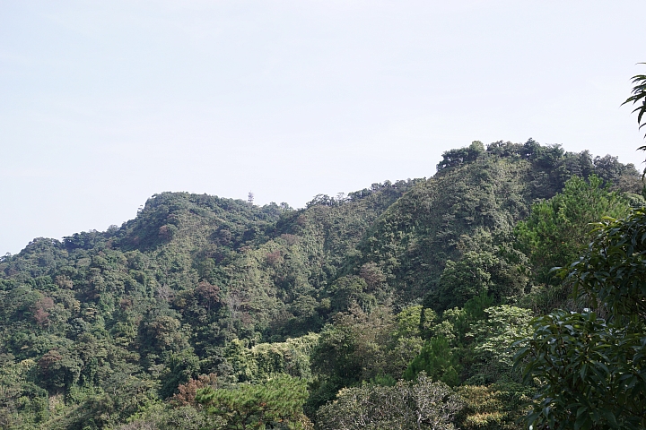 台中後花園-大坑散心[NISSAN SENTRA180 X Energy Saver+ 5000KM輪胎心得分享]