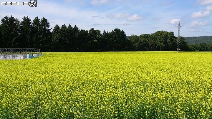 20140913  北海道----- 道東九日單車之旅 Day 3
