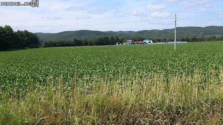 20140913  北海道----- 道東九日單車之旅 Day 3