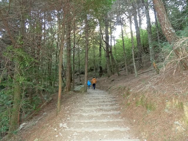 親子旅遊-大雪山森林遊樂區