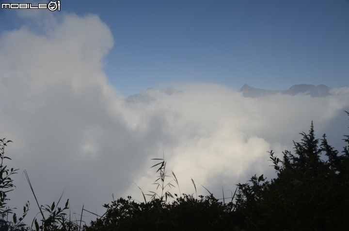2014-10-07-08塔塔加二萬坪之行