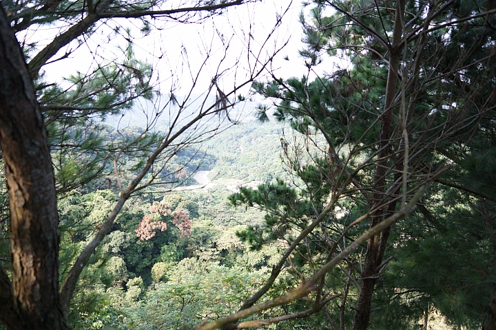 台中後花園-大坑散心[NISSAN SENTRA180 X Energy Saver+ 5000KM輪胎心得分享]