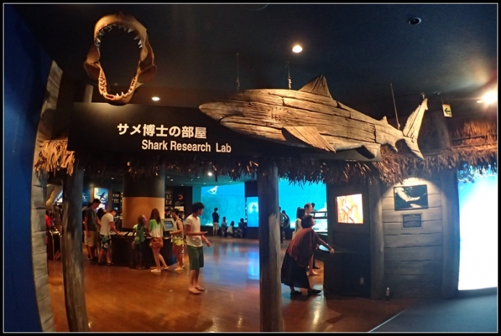 ［HONDAFAZE］ 夏◉沖繩環島之旅―(後篇)