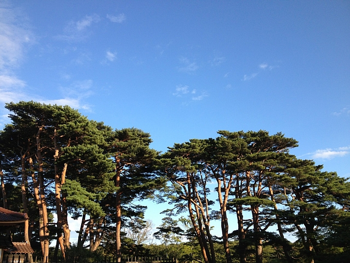 20140913 北海道--------道東九日單車遊     Day 8 及Day 9 札幌、函館 輕鬆漫步自由行