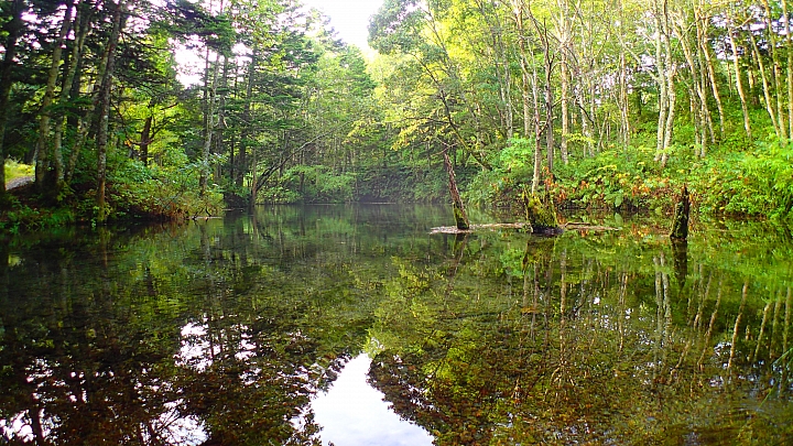 悲情 北海道之旅 完 全日本壓馬路（株）
