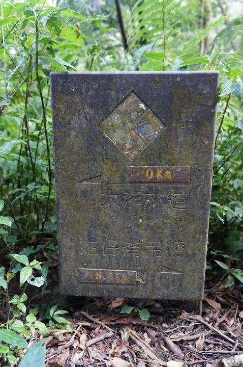 大漢林道行-順登力里山+崁頭窩山+殘念的具馬奴山