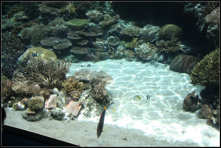 ［HONDAFAZE］ 夏◉沖繩環島之旅―(後篇)