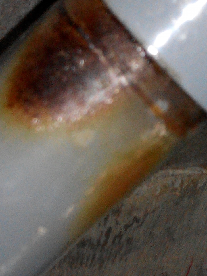 排水管存水彎更換疑慮